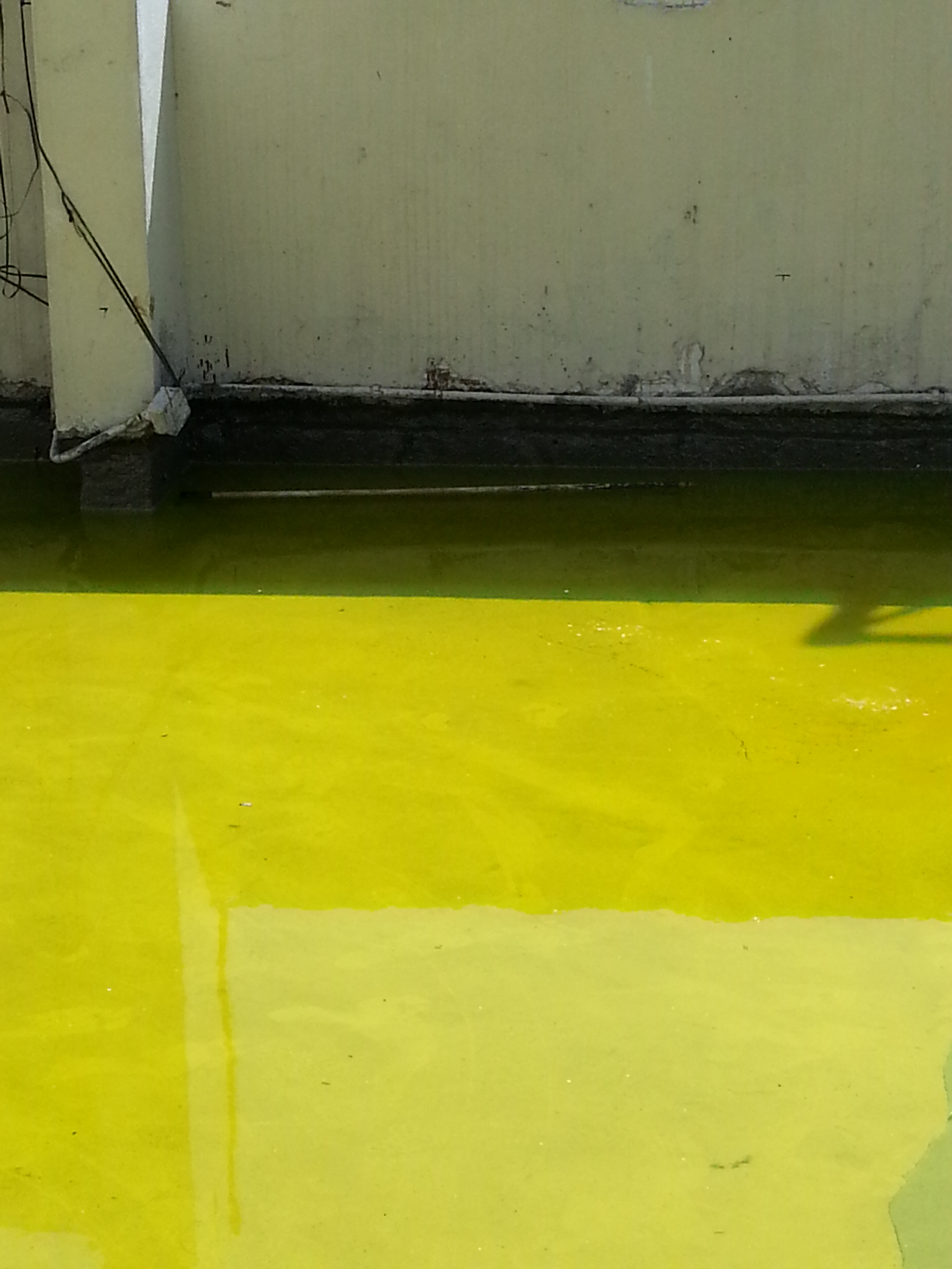 20131108_111140.jpg