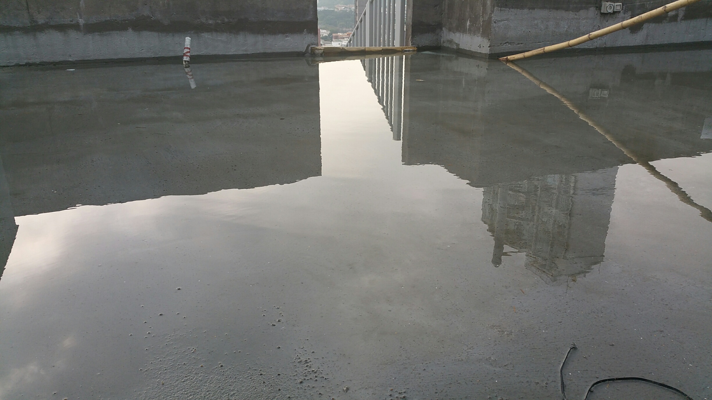 20150309_160220_resized.jpg
